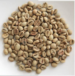 Robusta Coffee Beans